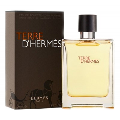 Hermes Terre d'Hermes (M) 100ml edt